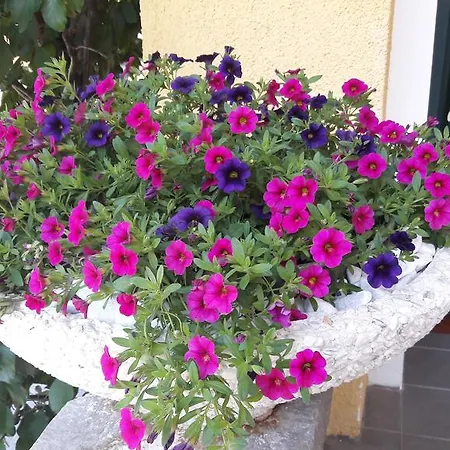 Haus Am Bach Ubytování v soukromí *